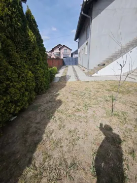 Dvorište i prilaz porodične kuće sa zelenilom. - image 3