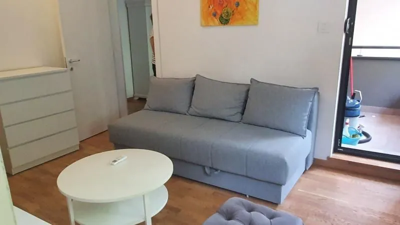 Rent, one bedroom apartment, 45m², Socijalno, Novi Sad Sve Podlokacije