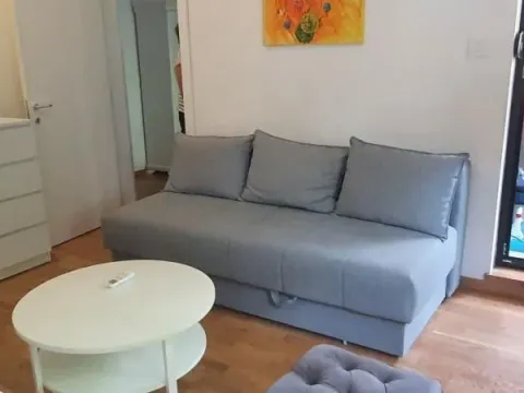 Rent, one bedroom apartment, 45m², Socijalno, Novi Sad Sve Podlokacije - image 2