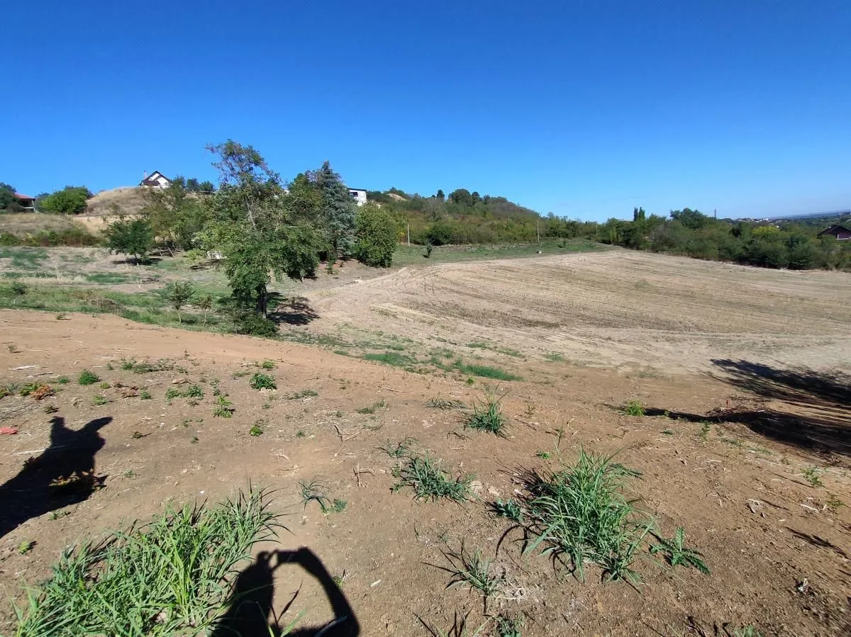 Prodaja, plac, 700m², Sremska Kamenica, Petrovaradin