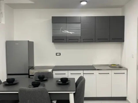 Prodaja, jednosoban stan, 44m², Zabjelo, Podgorica - image 6