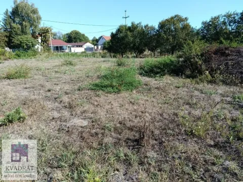Neuređeno zemljište sa niskim rastinjem i drvećem u pozadini. - image 2