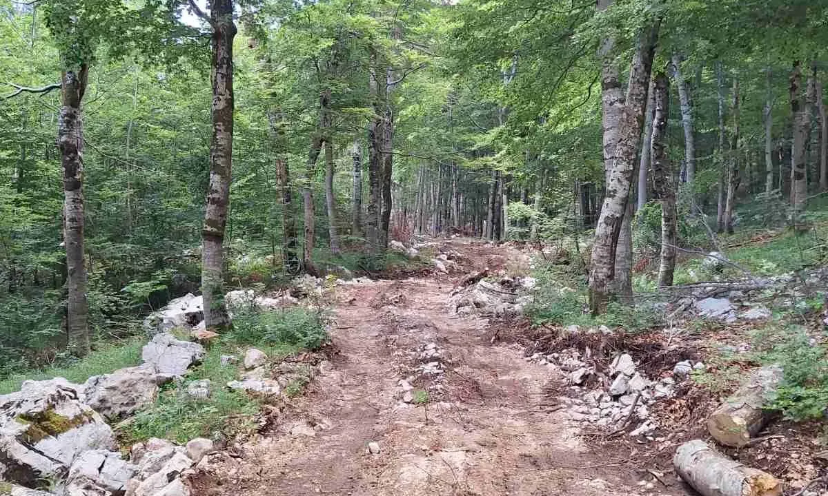 Prodaja, plac, 6368373m², Kotor, Crna Gora