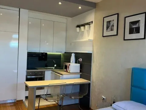 Izdavanje, garsonjera, 27m², Centar, Novi Sad - image 3