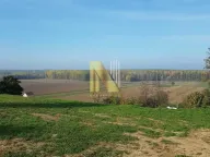 Prodaja, plac, 23m², Beočin, Srbija - image 3