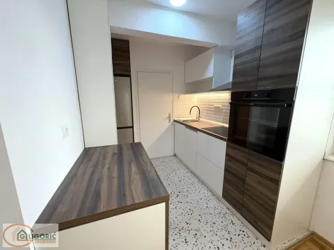 Rent, one bedroom apartment, 45m², Lion, Zvezdara Sve Podlokacije - image 9