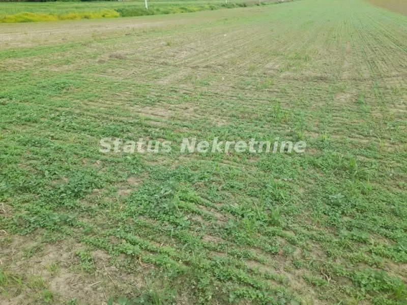 Prodaja, plac, 3381m², Futog, Novi Sad Sve Podlokacije