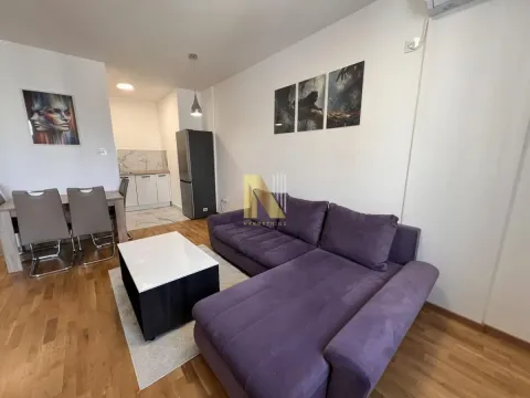 Izdavanje, dvosoban stan, 48m², Avijatičarsko naselje, Novi Sad Sve Podlokacije - image 4