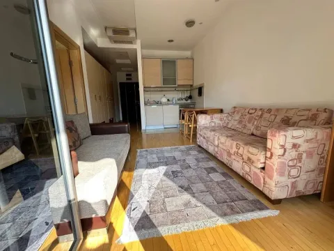 Rent, one bedroom apartment, 46m², Igalo, Herceg Novi - image 3