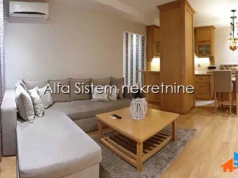 Izdavanje, dvosoban stan, 55m², Vračar Hram, Vračar Sve Podlokacije - image 5