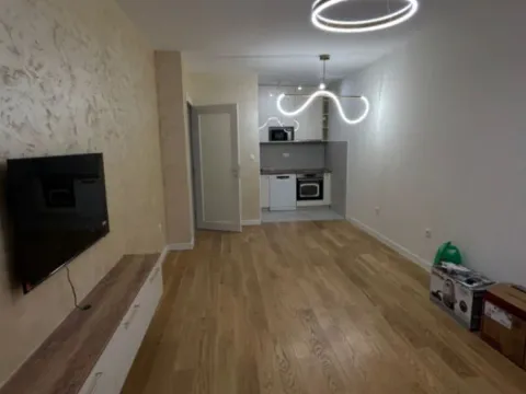 Izdavanje, jednosoban stan, 46m², Central Point, Podgorica - image 7