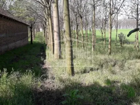 Sale, land lot, 25312m², Mišićevo, Subotica - image 3