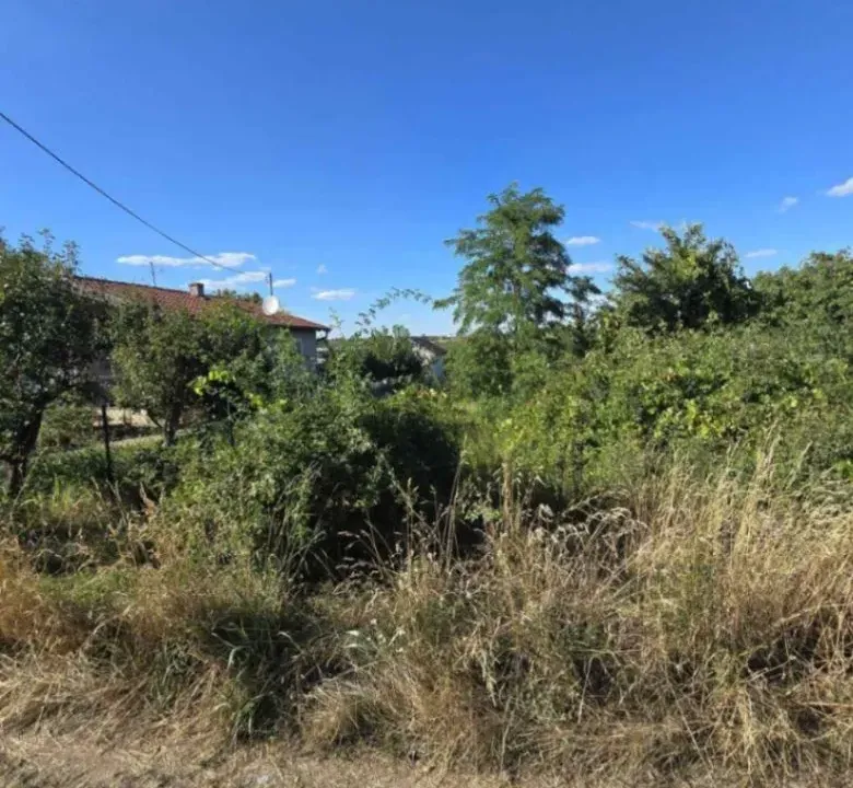 Sale, land lot, 6100m², Inđija, Srbija