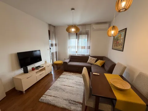 Izdavanje, jednosoban stan, 50m², Stara Varoš, Podgorica - image 6
