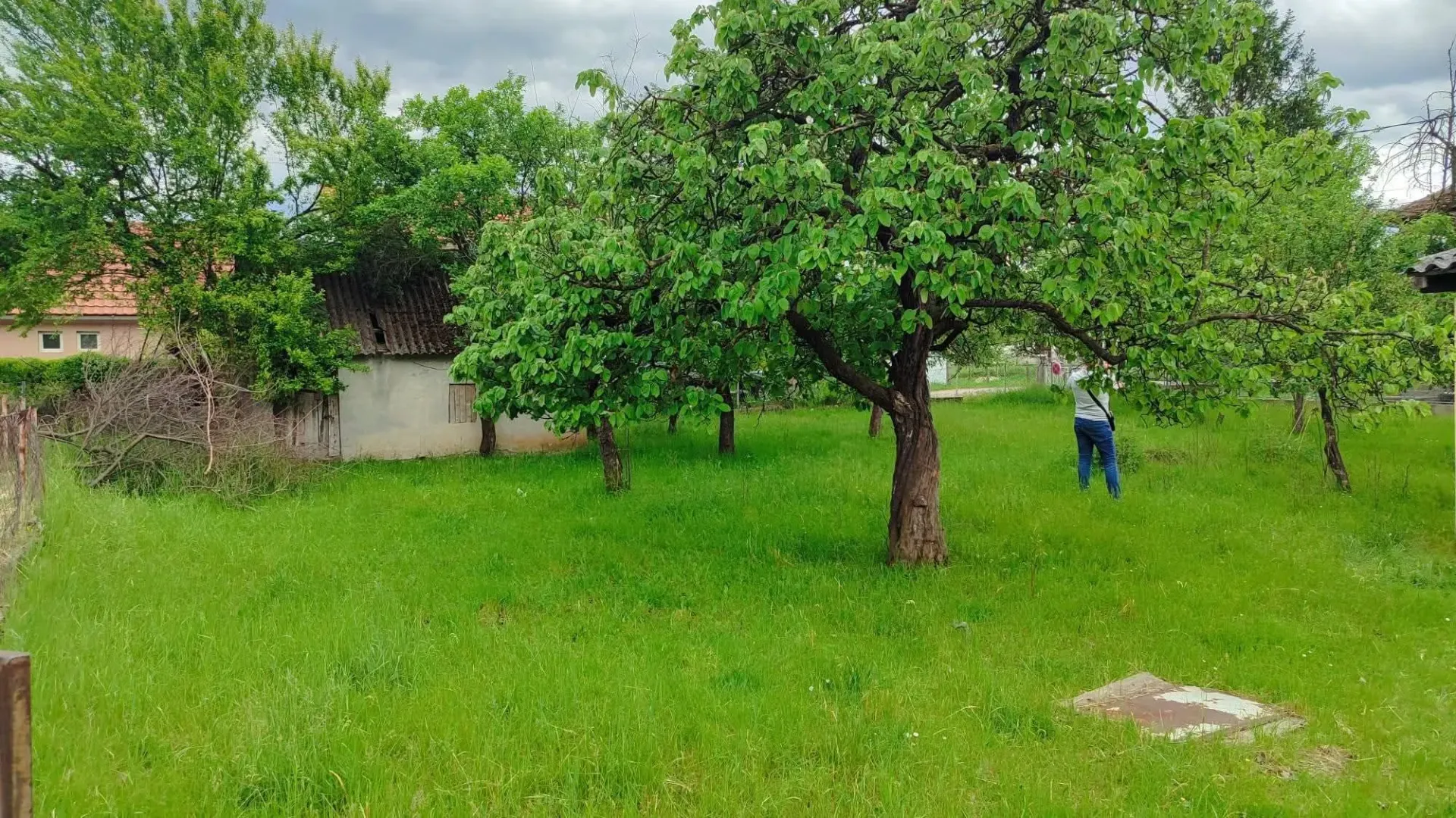 Prodaja, plac, 700m², Berane, Crna Gora