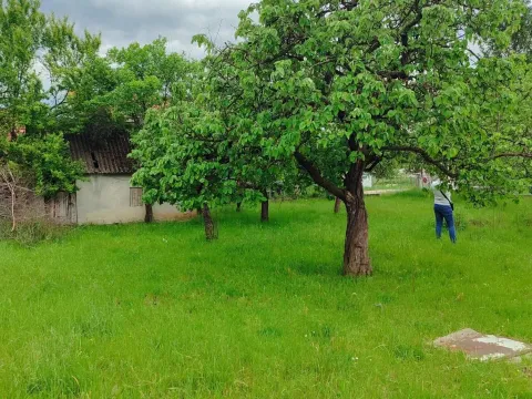 Prodaja, plac, 700m², Berane, Crna Gora - image 2