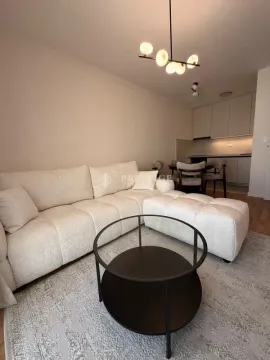 Rent, one bedroom apartment, 40m², Pobrežje, Podgorica - image 4