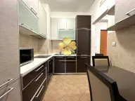 Izdavanje, jednosoban stan, 60m², Stari Aerodrom, Podgorica - image 4