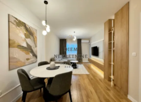 Izdavanje, jednosoban stan, 50m², Central Point, Podgorica - image 11