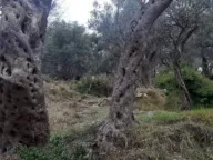 Prodaja, plac, 1604m², Velembusi, Bar - image 3