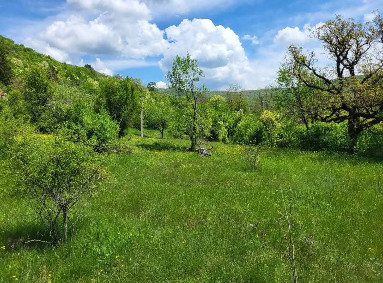 Prodaja, plac, 160000m², Centar, Nikšić