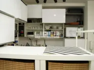 Izdavanje, stan, 142m², Zemun Centar, Zemun Sve Podlokacije - image 5