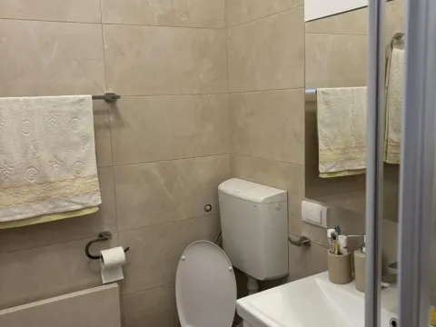 Sale, two bedroom apartment, 63m², Vračar Sve Podlokacije, Beograd - image 21