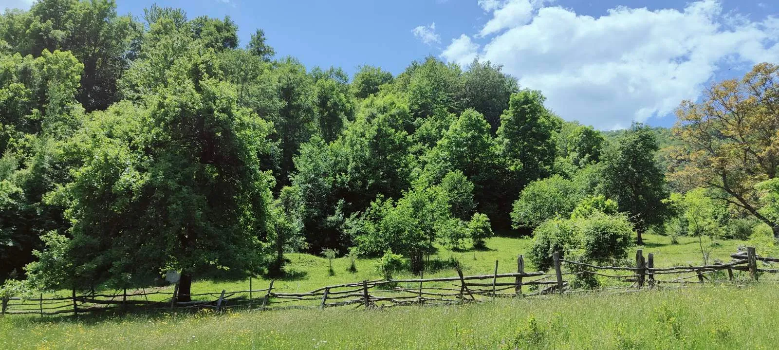 Prodaja, plac, 40000m², Andrijevica, Crna Gora
