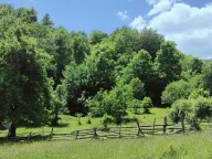 Sale, land lot, 40000m², Andrijevica, Crna Gora - image 3