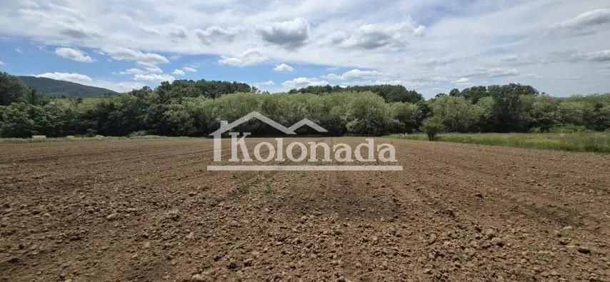 Sale, land lot, 6877m², Nemenikuće, Sopot