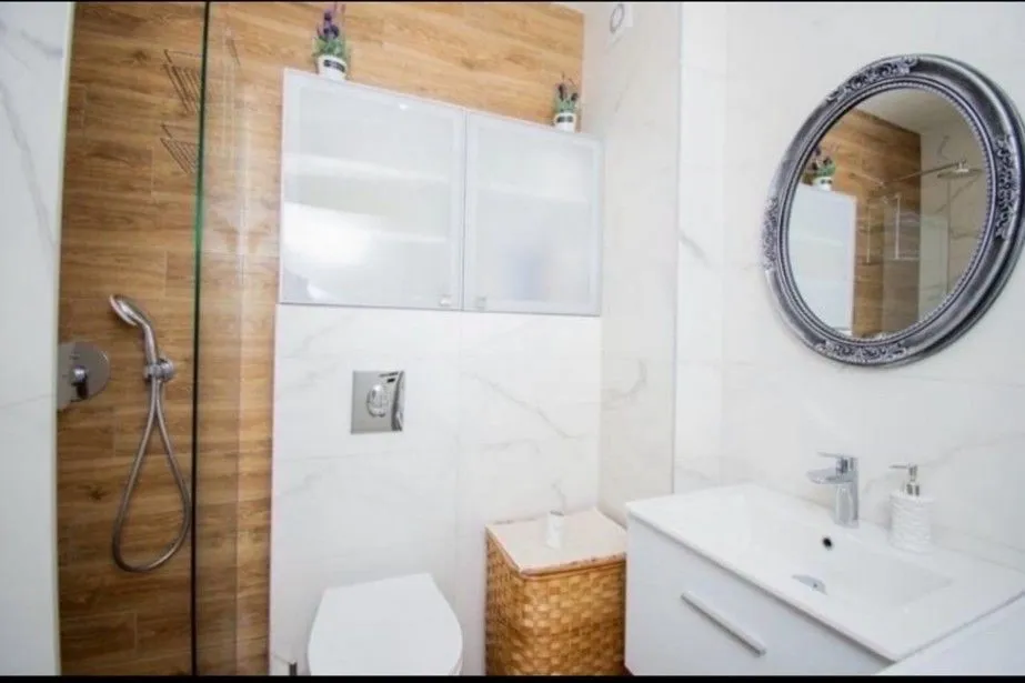 Rent, one bedroom apartment, 48m², Vezirov Most, Podgorica