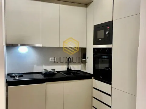 Izdavanje, jednosoban stan, 39m², Central Point, Podgorica - image 3