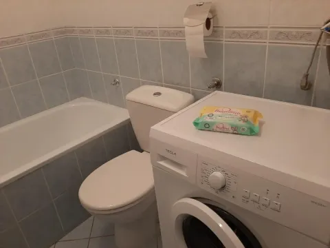 Izdavanje, dvosoban stan, 45m², Betanija, Novi Sad Sve Podlokacije - image 10