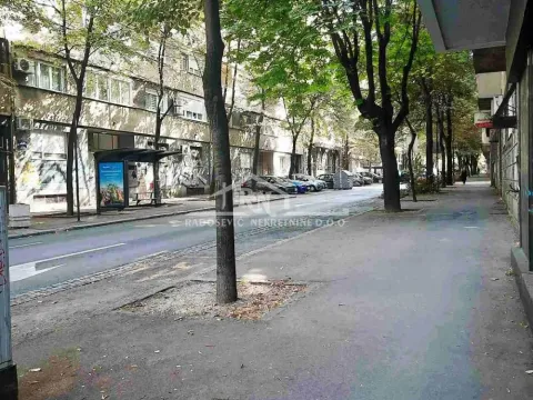 Izdavanje, dvosoban stan, 60m², Vračar Centar, Vračar Sve Podlokacije - image 12