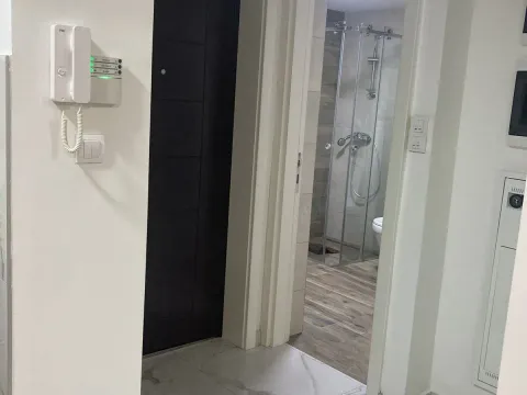 Izdavanje, jednosoban stan, 44m², Zemun Sve Podlokacije, Beograd - image 13