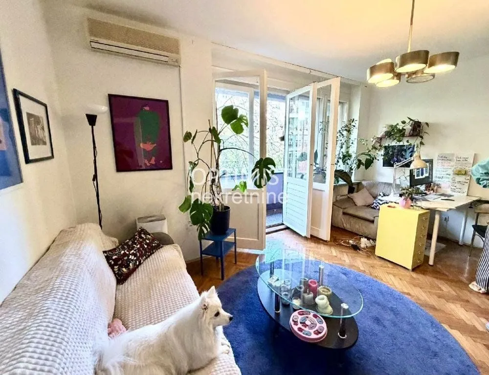 Izdavanje, dvosoban stan, 50m², Tašmajdan, Palilula Sve Podlokacije