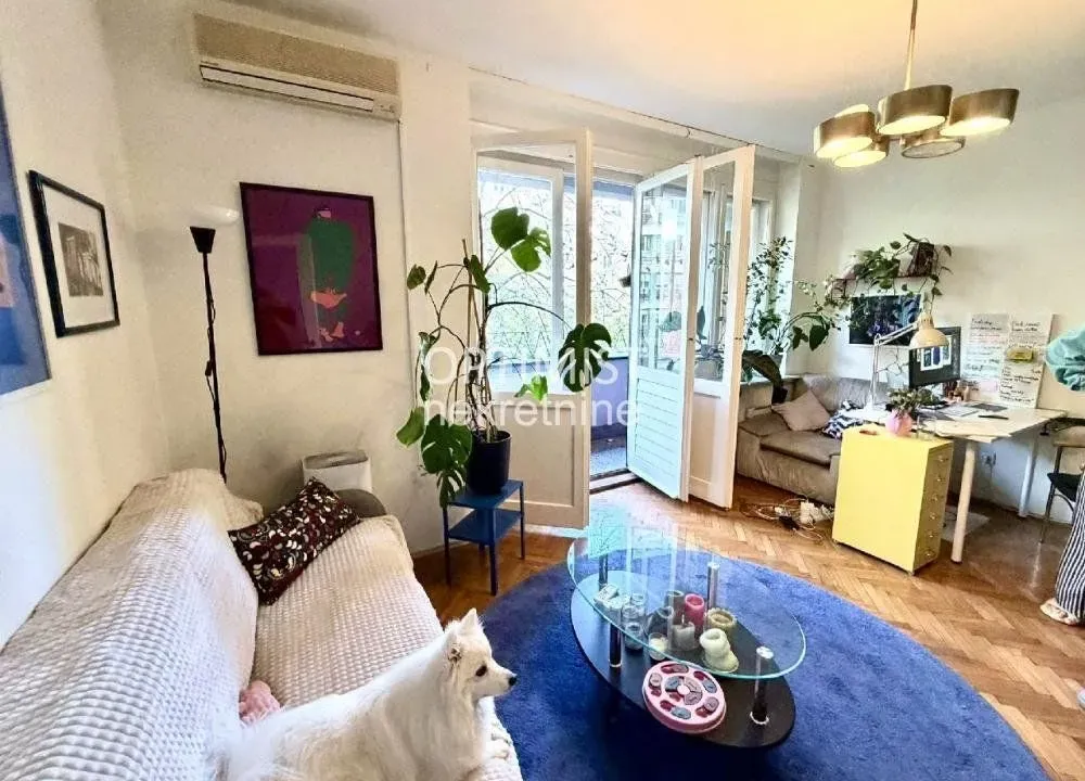 Izdavanje, dvosoban stan, 50m², Tašmajdan, Palilula Sve Podlokacije