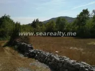 Sale, land lot, 45800m², Brežine, Podgorica - image 6