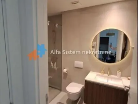 Izdavanje, dvosoban stan, 52m², Savski Venac, Beograd - image 14