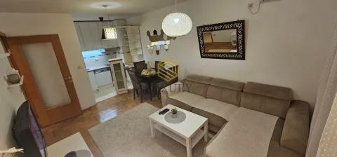 Izdavanje, jednosoban stan, 47m², Stari Aerodrom, Podgorica - image 9