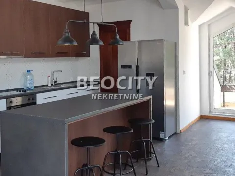 Izdavanje, četvorosoban stan, 240m², Dedinje Sve Podlokacije, Beograd - image 5