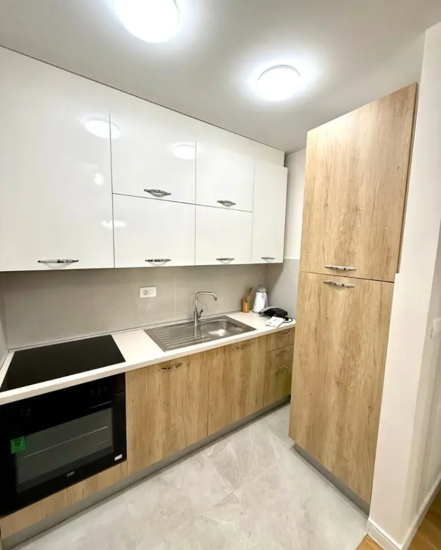 Izdavanje, jednosoban stan, 47m², Central Point, Podgorica