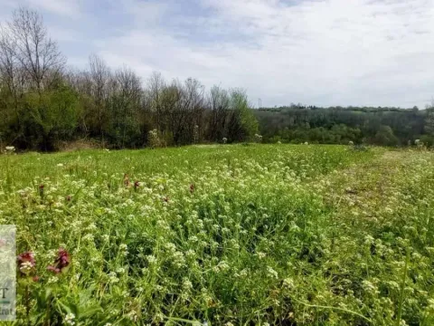 Prodaja, plac, 2900m², Draževac, Obrenovac - image 2