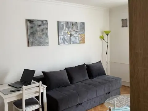 Rent, studio apartment, 28m², Socijalno, Novi Sad Sve Podlokacije - image 3