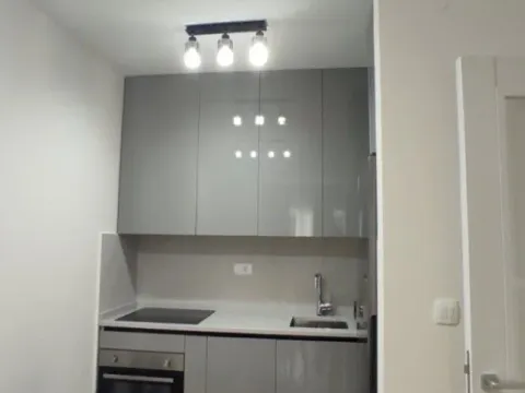 Izdavanje, jednosoban stan, 47m², Central Point, Podgorica - image 10