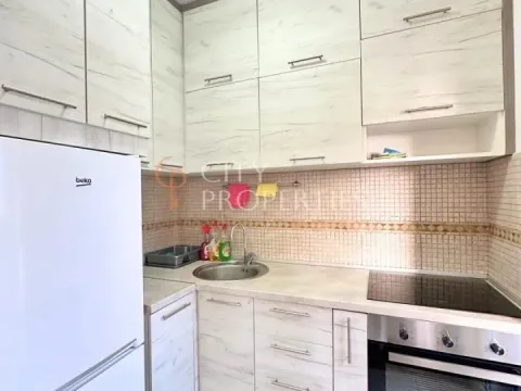 Izdavanje, stan, 36m², Stari Aerodrom, Podgorica - image 10