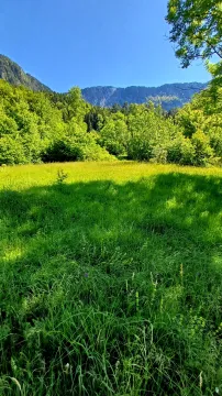 Zelena livada sa drvećem i pogledom na planine u pozadini. - image 3