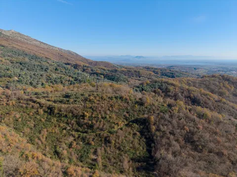 Sale, land lot, 28959m², Kolomza, Ulcinj - image 5