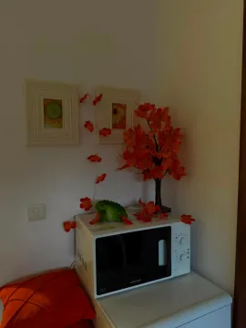 Rent, one bedroom apartment, 45m², Centar, Budva - image 3