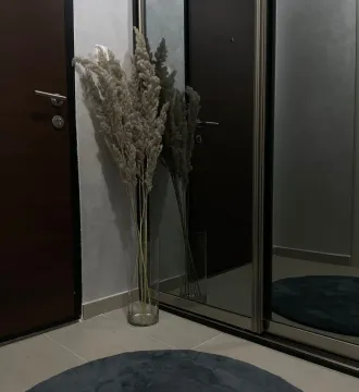Rent, one bedroom apartment, 59m², Central Point, Podgorica - image 226